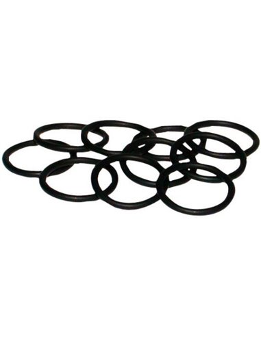 Oring 3,53x29,74 (10x)