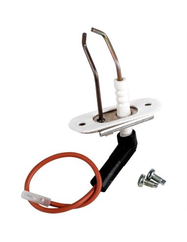 Electrode+ screw + gasket