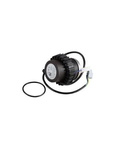 Motor pump dcw