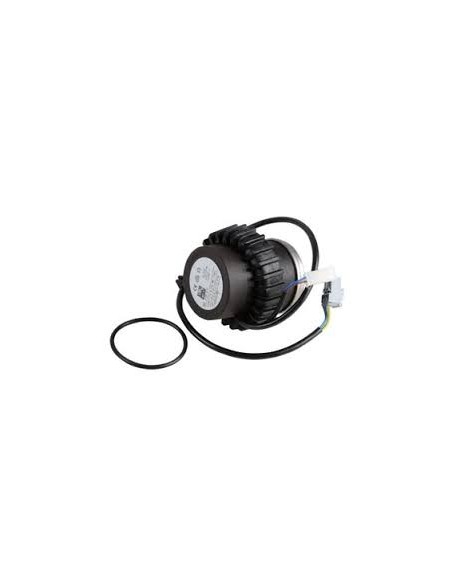 Motor pump dcw