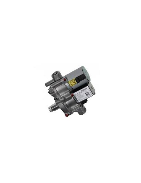 Gas section (with regulator)