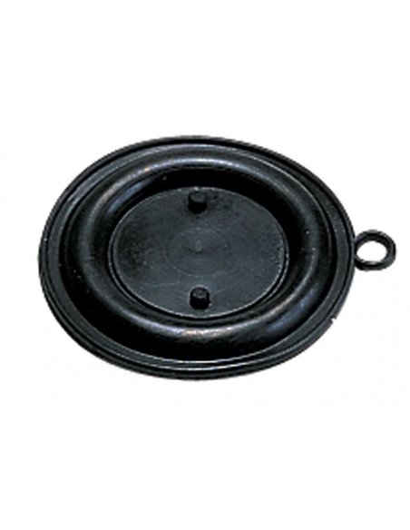 Diaphragm, (x10)
