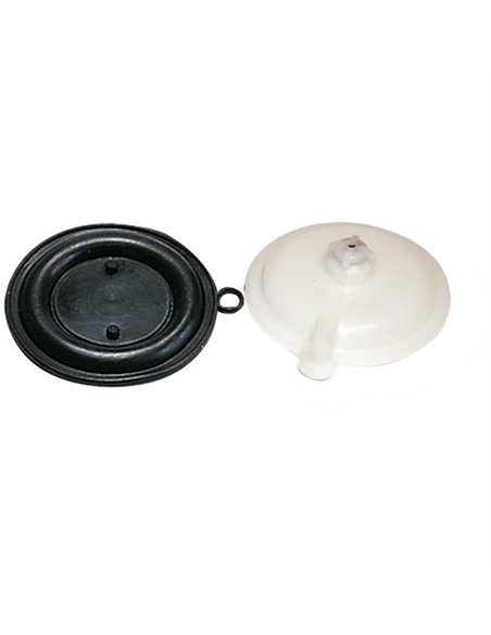 Diaphragm, (x10)