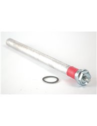 Anode
