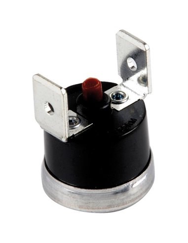 Flue blockage device
