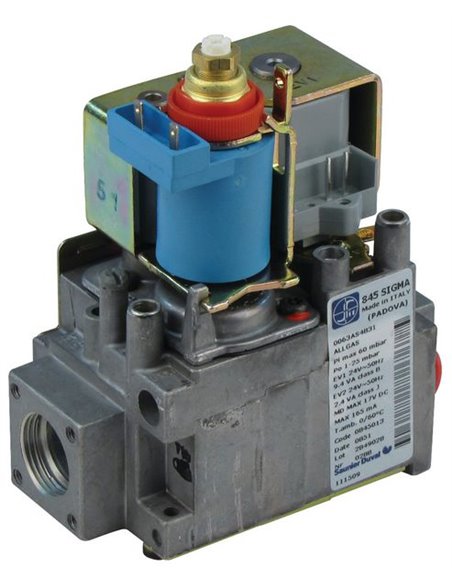 Gas valve assembly, G20