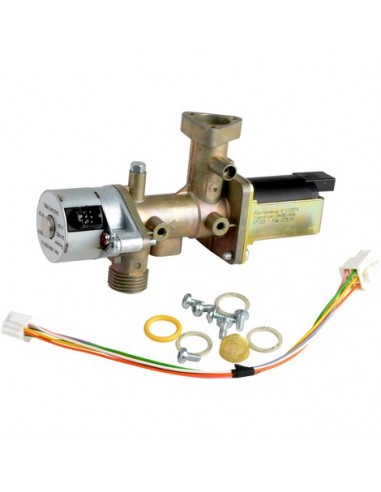 Gas valve assembly, G20