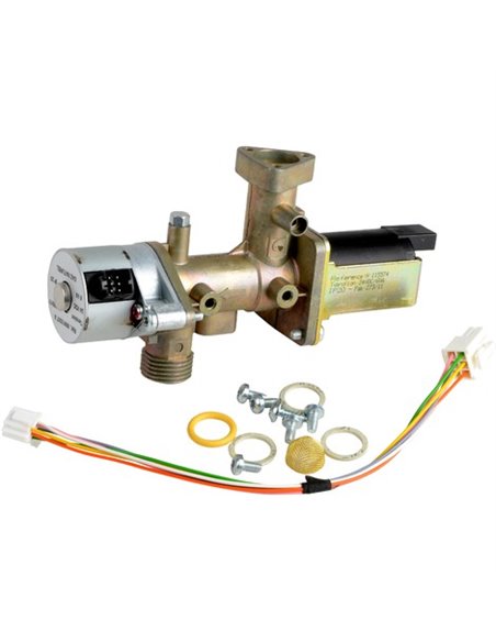 Gas valve assembly, G20